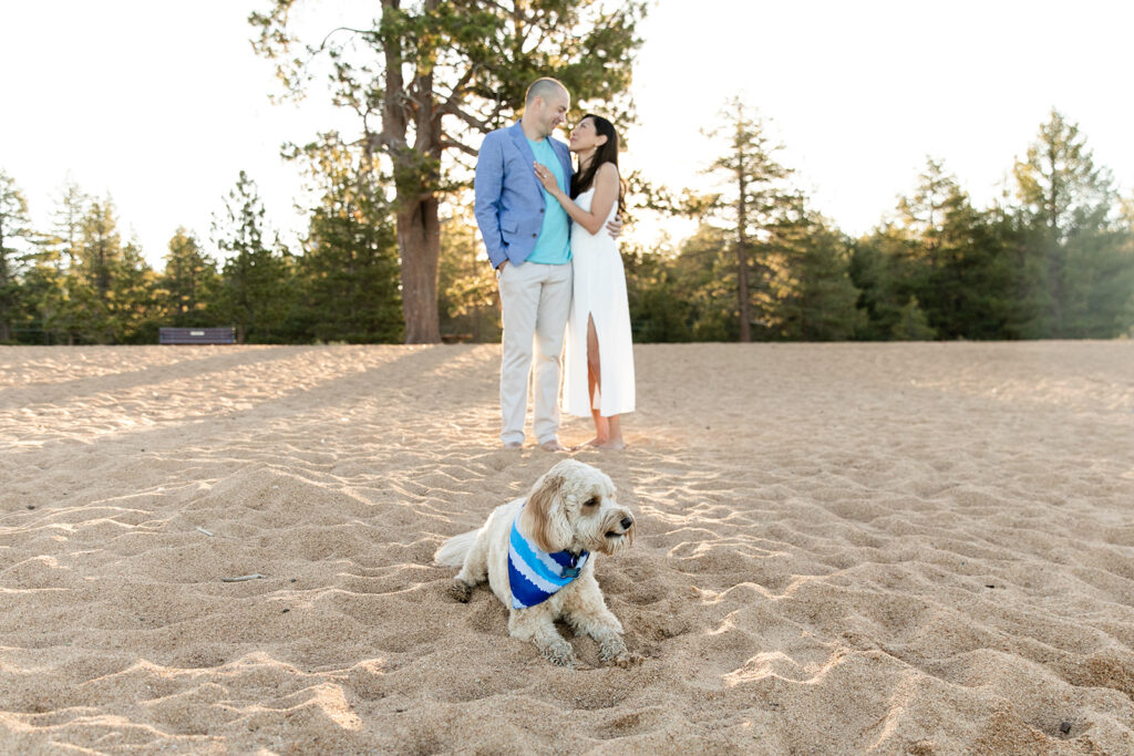 classy lake tahoe engagement photos with a small dog