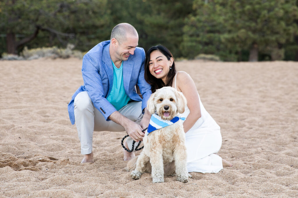 classy lake tahoe engagement photos with a small dog