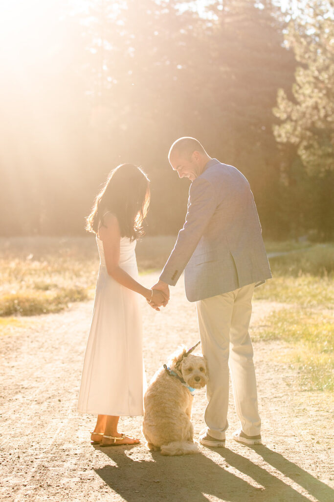 classy lake tahoe engagement photos with a small dog