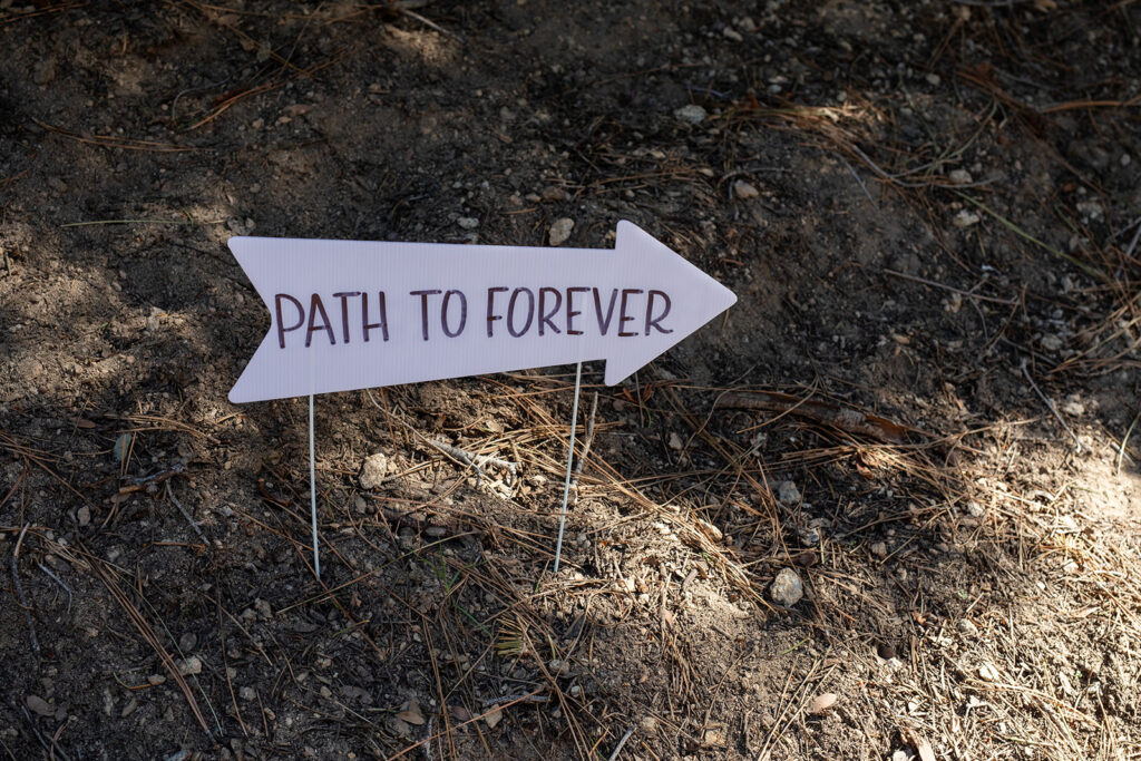 elopement signs