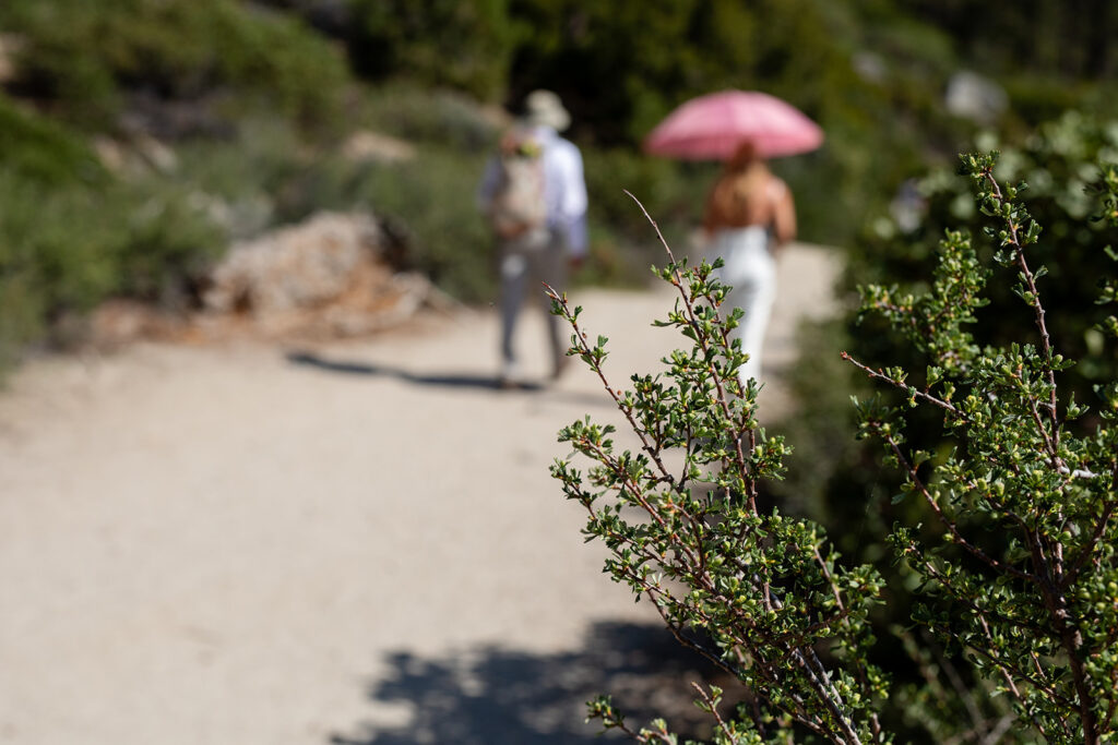 bride and groom going on a hike during their micro wedding in Lake Tahoe