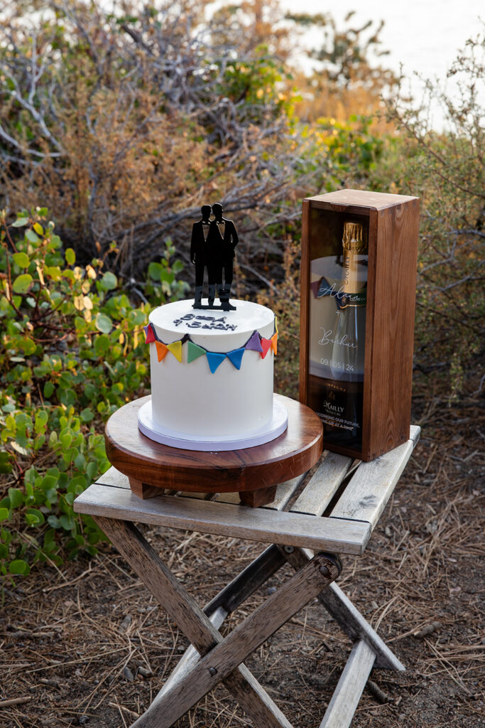 lgbtq elopement cake