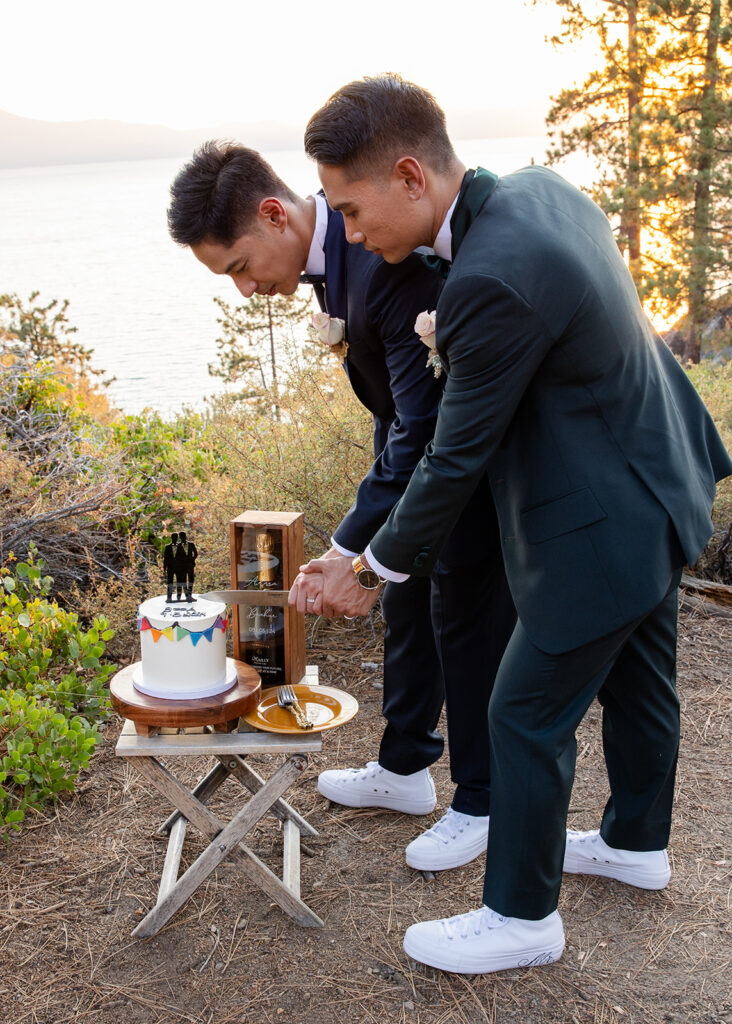 two grooms cutting their elopement cake