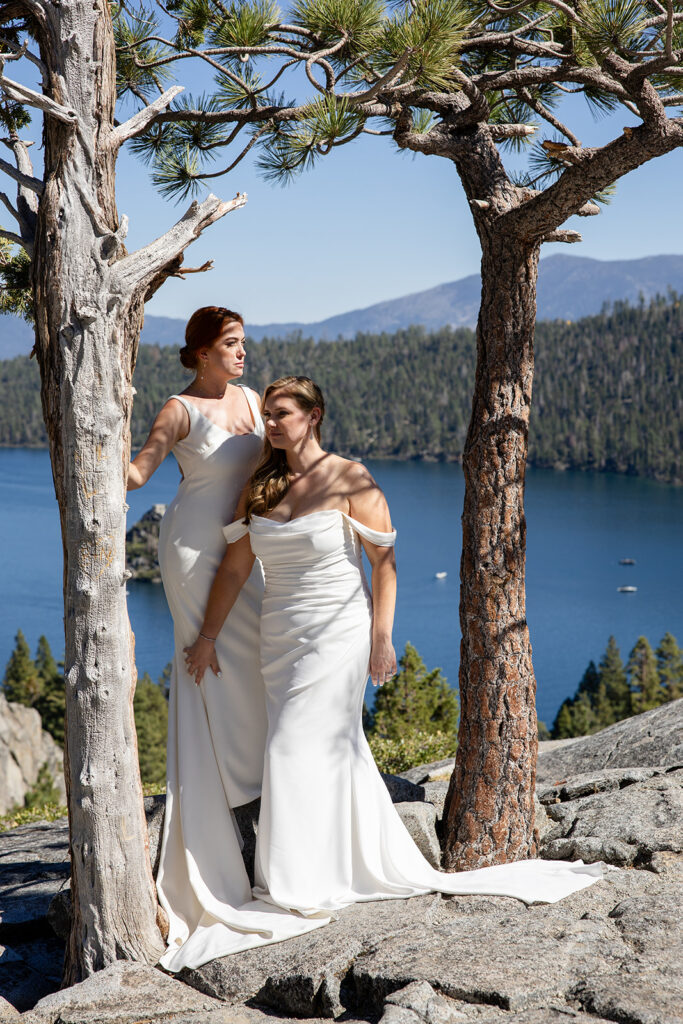 lgbtq wedding elopement in lake tahoe