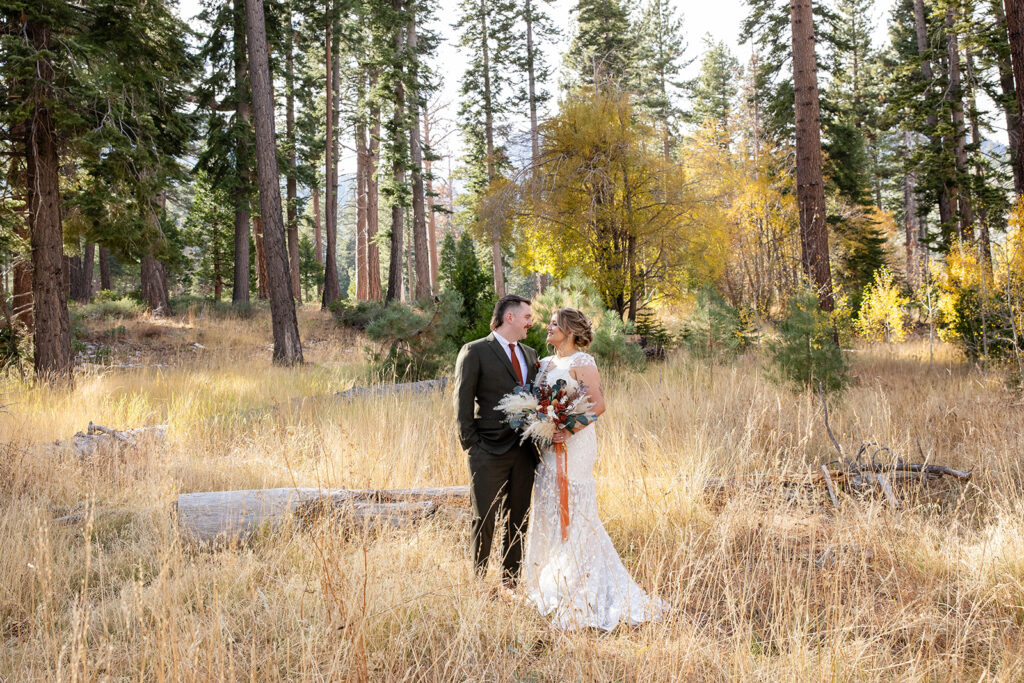 south lake tahoe elopement in a meadow surrounded by forest views and mountains