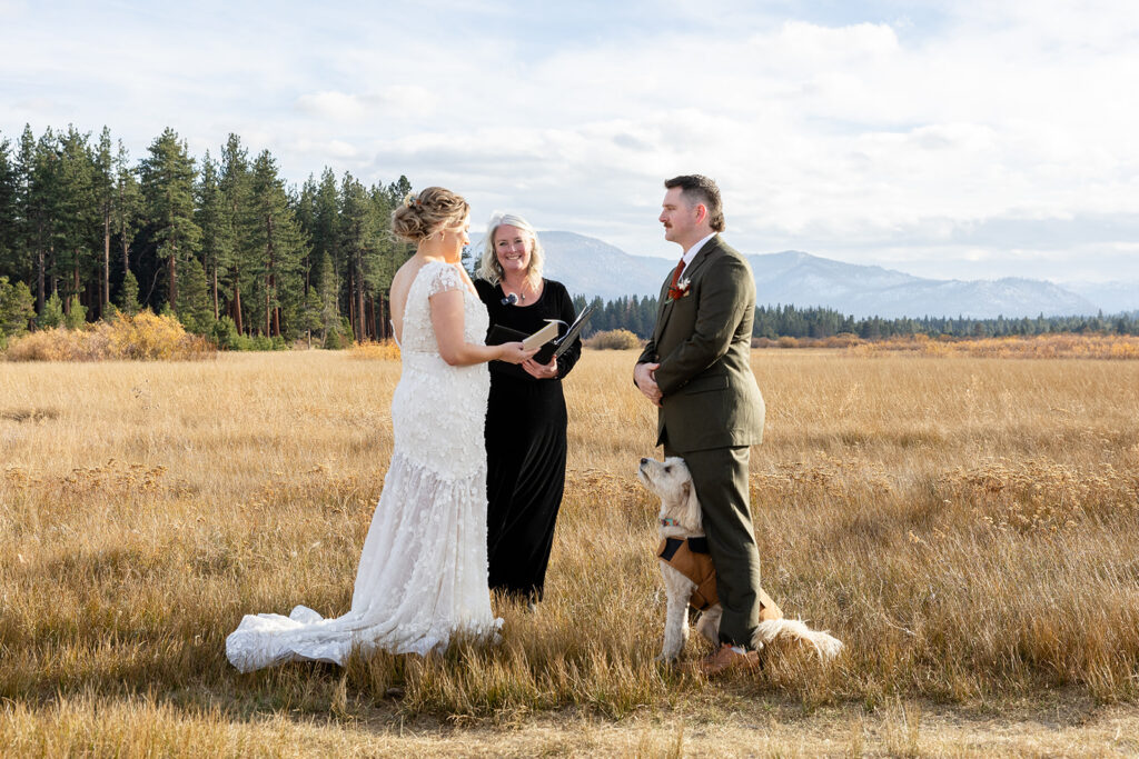 south lake tahoe elopement ceremony in a meadow with forest and mountain views in the backdrop