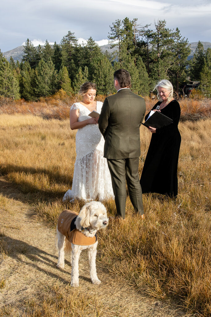 south lake tahoe elopement ceremony in a meadow with forest and mountain views in the backdrop