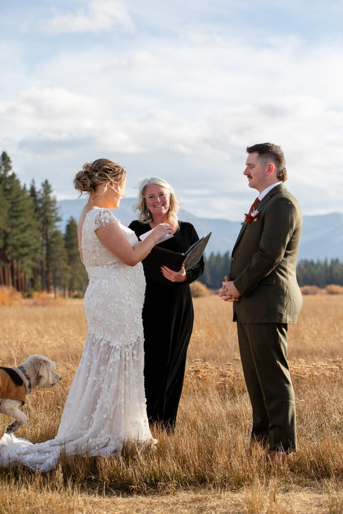 south lake tahoe elopement ceremony in a meadow with forest and mountain views in the backdrop