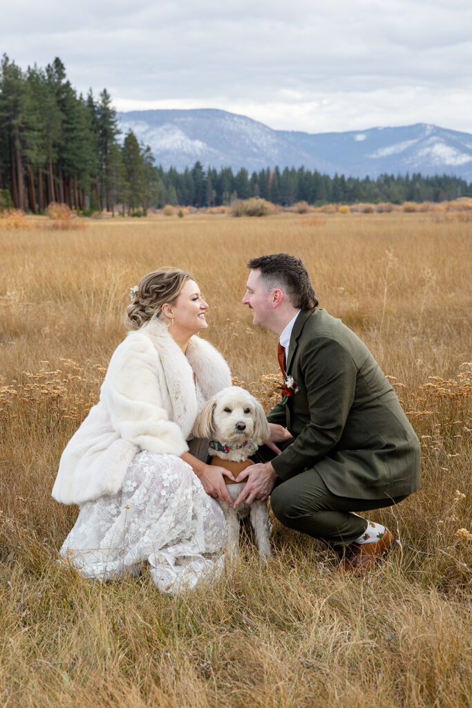 elopement couple with their dog in the meadow in south lake tahoe