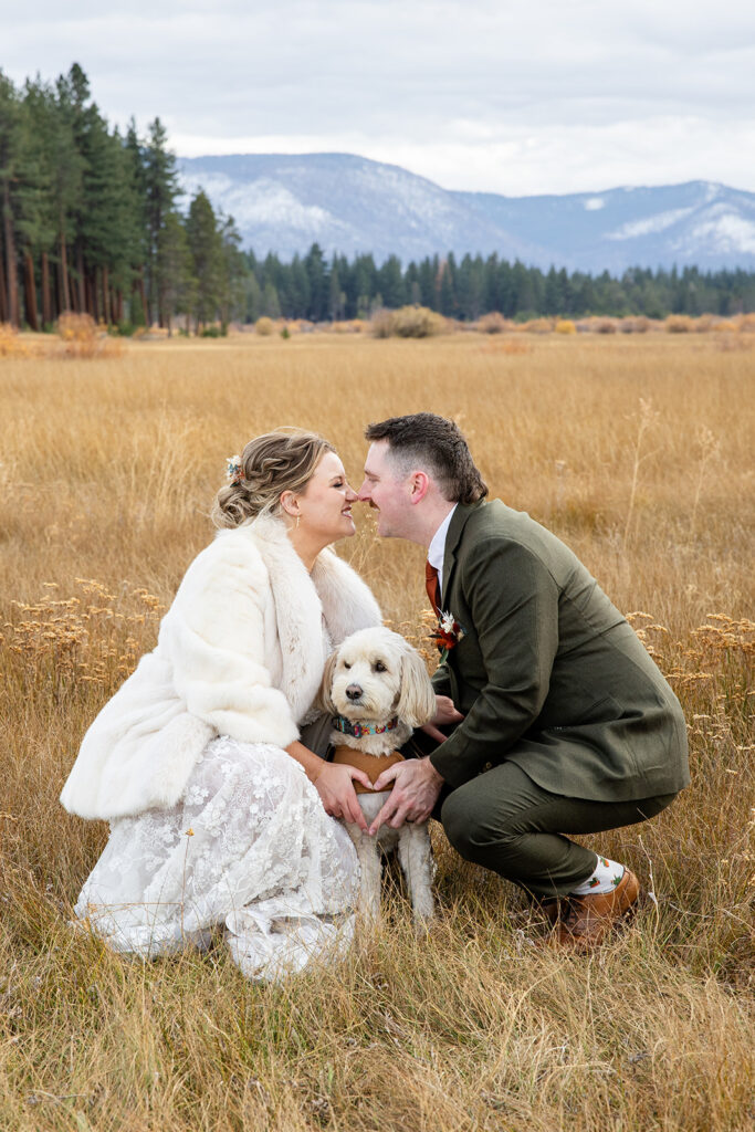 elopement couple in a meadow with their pup