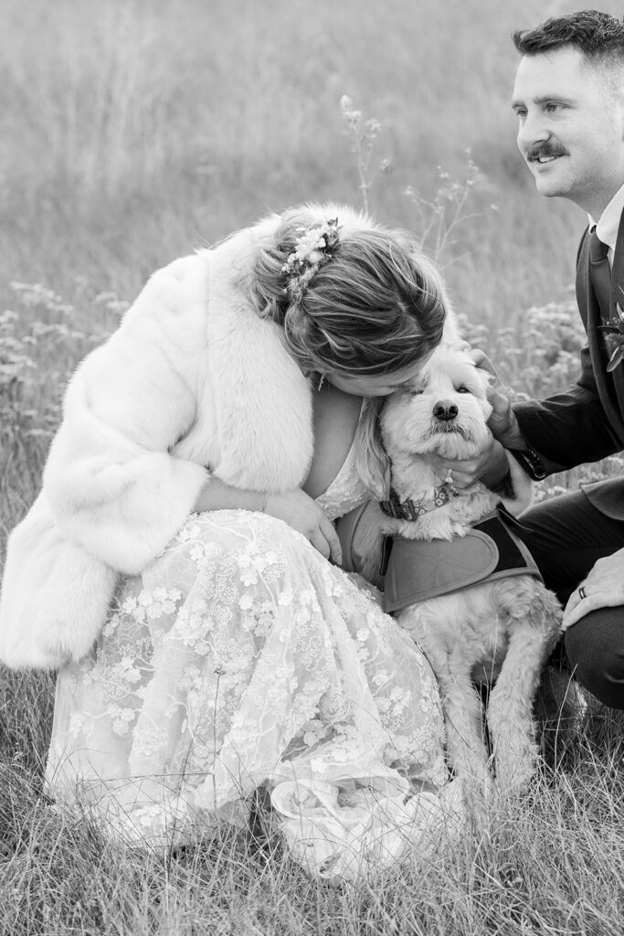 elopement couple in a meadow with their pup