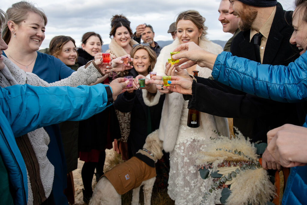 bride and groom sharing a toast with their loved ones